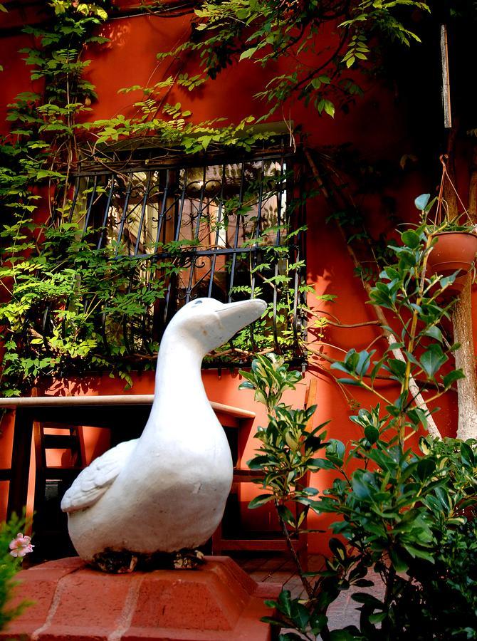 Sebnem Hotel Истанбул Екстериор снимка