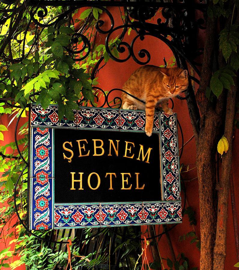 Sebnem Hotel Истанбул Екстериор снимка